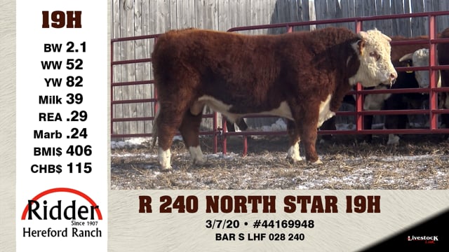 Lot #19H - R 240 NORTH STAR 19H