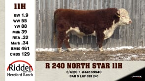 Lot #11H - R 240 NORTH STAR 11H