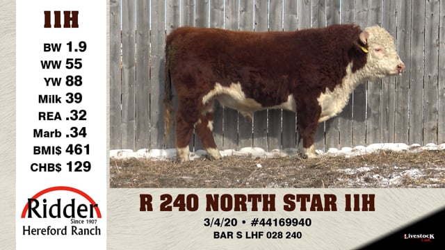 Lot #11H - R 240 NORTH STAR 11H