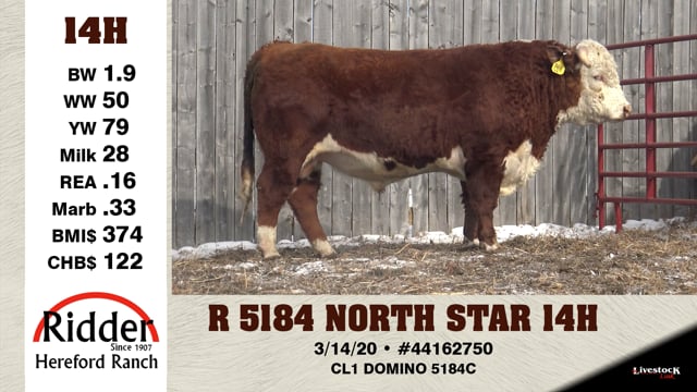 Lot #14H - R 5184 NORTH STAR 14H
