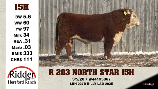 Lot #15H - R 203 NORTH STAR 15H