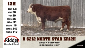 Lot #12H - R 6212 NORTH STAR ER 12H