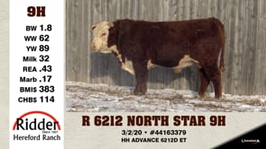 Lot #9H - R 6212 NORTH STAR 9H