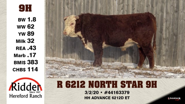 Lot #9H - R 6212 NORTH STAR 9H