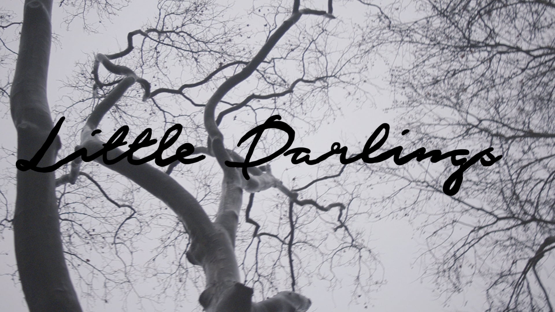 Little Darlings (2018)