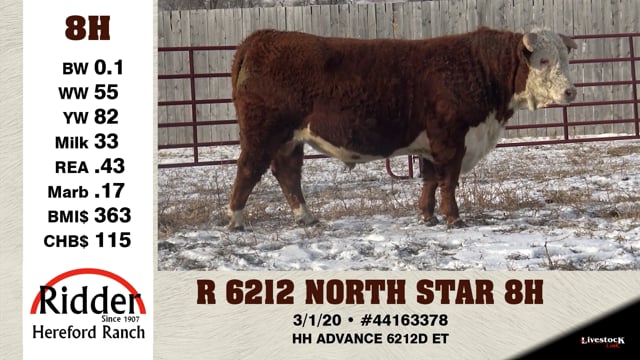 Lot #8H - R 6212 NORTH STAR 8H
