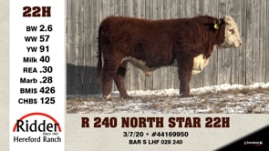 Lot #22H - R 240 NORTH STAR 22H