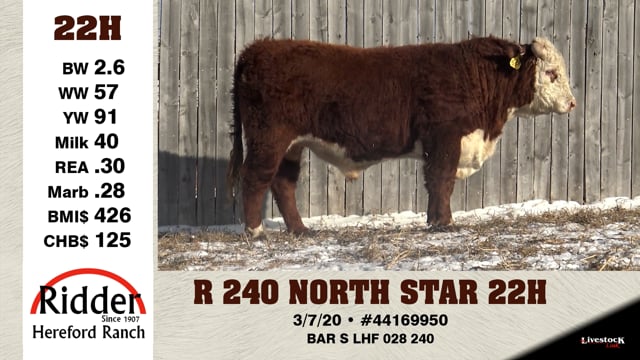 Lot #22H - R 240 NORTH STAR 22H