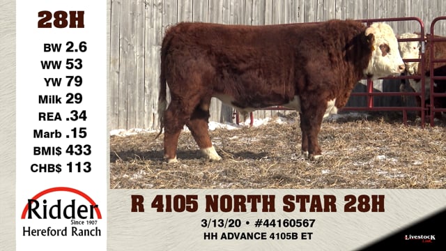 Lot #28H - R 4105 NORTH STAR 28H