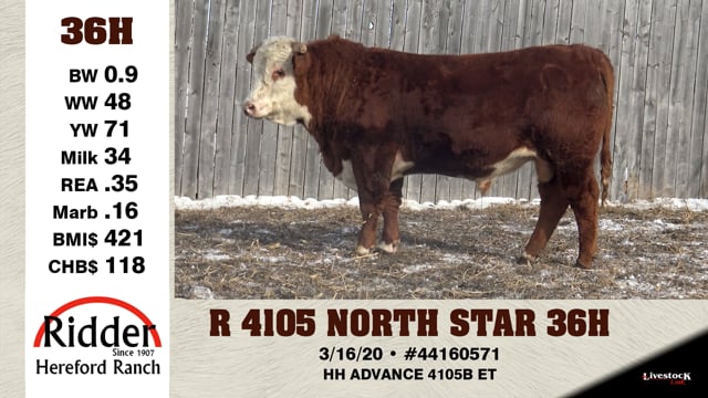 Lot #36H - R 4105 NORTH STAR 36H