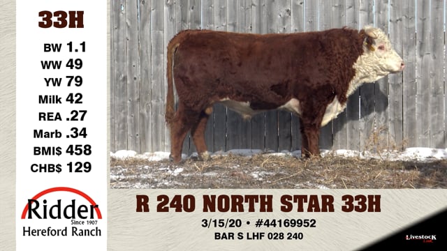 Lot #33H - R 240 NORTH STAR 33H