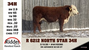 Lot #34H - R 6212 NORTH STAR 34H