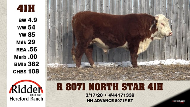 Lot #41H - R 8071 NORTH STAR 41H