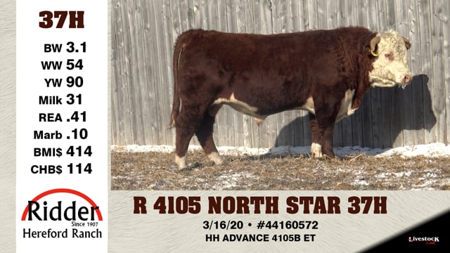 Lot #37H - R 4105 NORTH STAR 37H