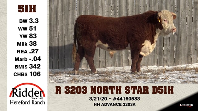 Lot #51H - R 3203 NORTH STAR D51H