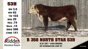 Lot #53H - R 358 NORTH STAR 53H