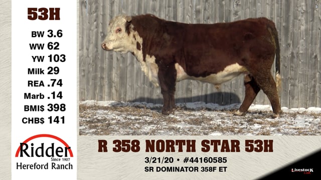 Lot #53H - R 358 NORTH STAR 53H