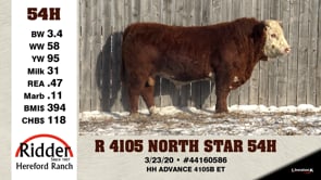 Lot #54H - 4 4105 NORTH STAR 54H