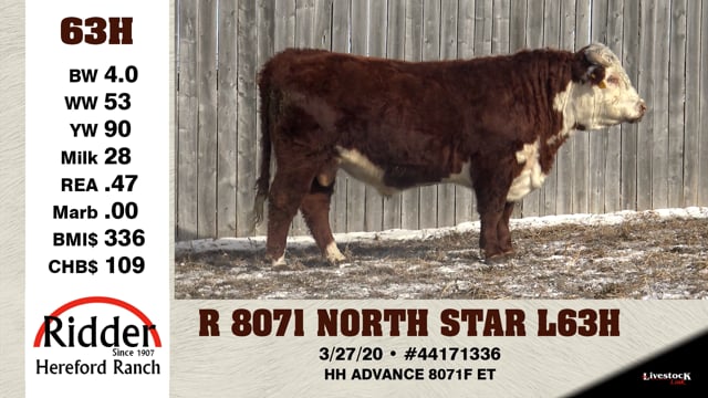 Lot #63H - R 8071 NORTH STAR L63H