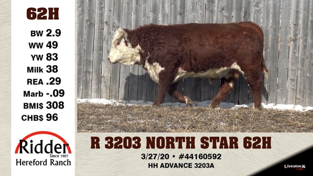 Lot #62H - R 3203 NORTH STAR 62H