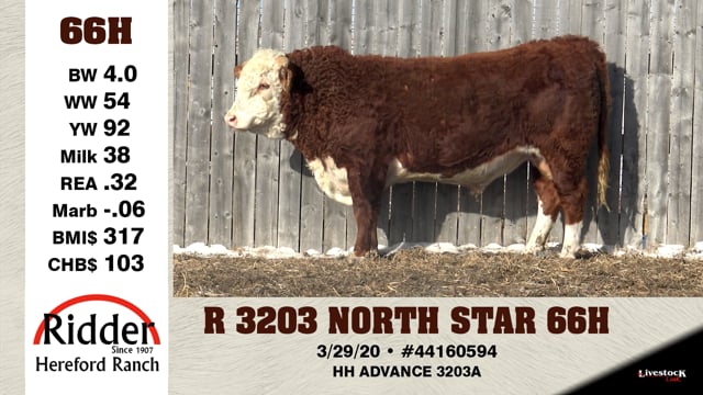 Lot #66H - R 3203 NORTH STAR 66H