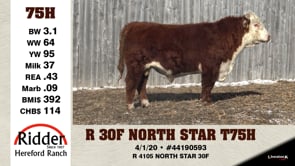 Lot #75H - R 30F NORTH STAR T76H