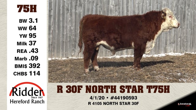 Lot #75H - R 30F NORTH STAR T76H