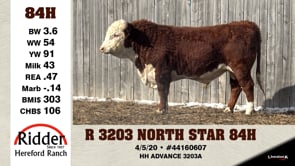 Lot #84H - R 3203 NORTH STAR 84H