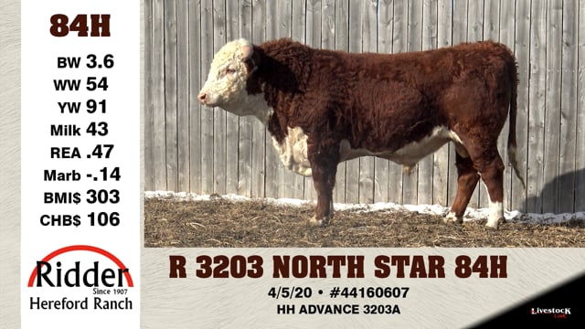 Lot #84H - R 3203 NORTH STAR 84H
