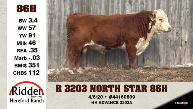 Lot #86H - R 3203 NORTH STAR 86H