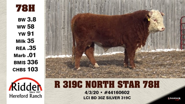 Lot #78H - R 319C NORTH STAR 78H