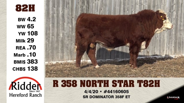 Lot #82H - R 358 NORTH STAR T82H