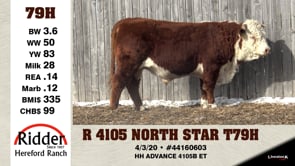 Lot #79H - R 4105 NORTH STAR T79H