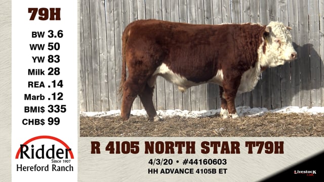 Lot #79H - R 4105 NORTH STAR T79H