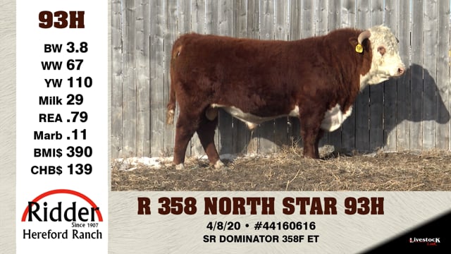 Lot #93H - R 358 NORTH STAR 93H