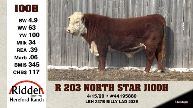 Lot #100H - R 203 NORTH STAR J100H