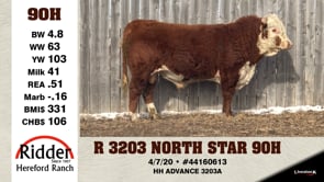 Lot #90H - R 3203 NORTH STAR 90H