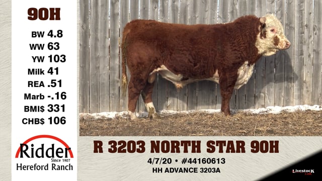Lot #90H - R 3203 NORTH STAR 90H