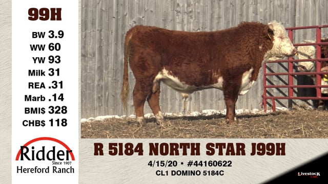 Lot #99H - R 5184 NORTH STAR J99H