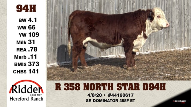 Lot #94H - R 358 NORTH STAR D94H
