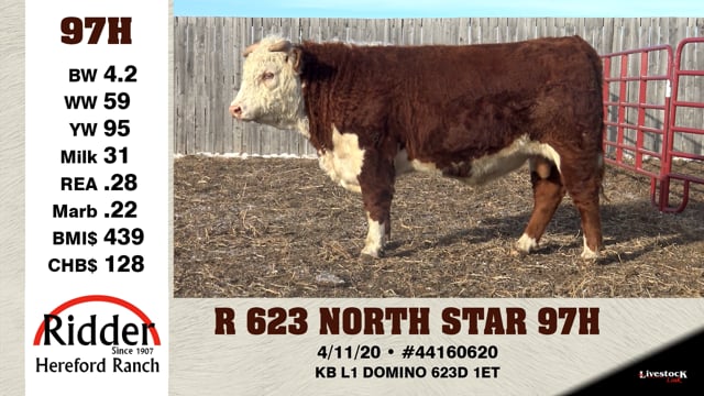 Lot #97H - R 623 NORTH STAR 97H