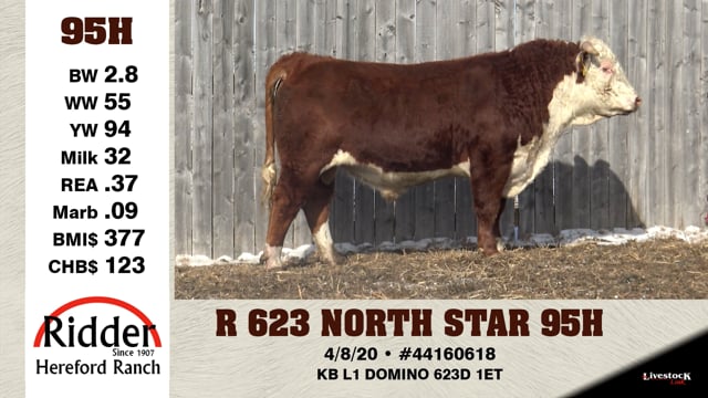 Lot #95H - R 623 NORTH STAR 95H