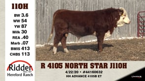 Lot #110H - R 4105 NORTH STAR J1110 H