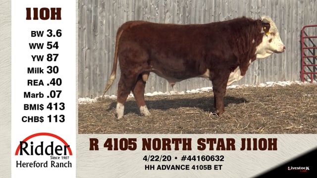 Lot #110H - R 4105 NORTH STAR J1110 H