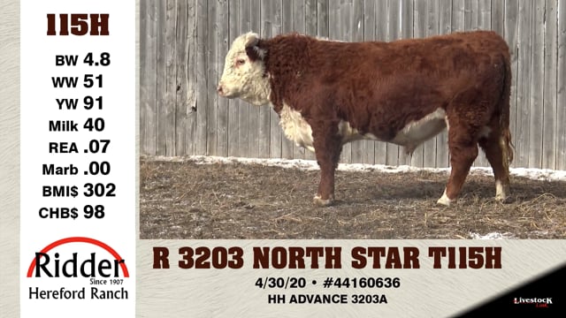 Lot #115H - R 3203 NORTH STAR T115H
