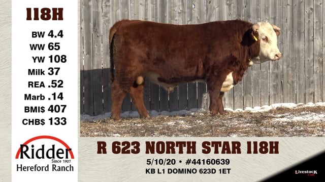 Lot #118H - R 623 NORTH STAR 118H