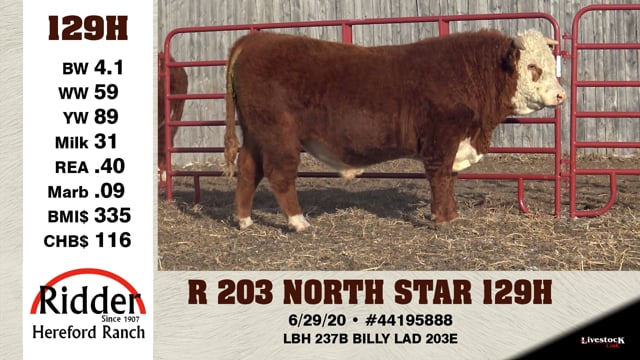 Lot #129H - R 203 NORTH STAR 129H