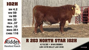 Lot #102H - R 203 NORTH STAR 102H