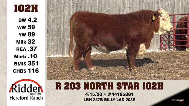Lot #102H - R 203 NORTH STAR 102H