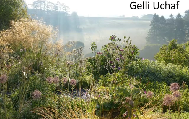 Y Gelli Uchaf - art, science and creativity in Mid-Wales